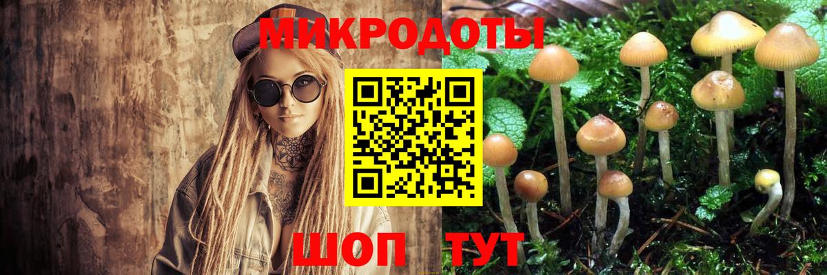 Ростов Великий  Галлюциногенные грибы MAGIC MUSHROOMS  как найти наркотики  Вход с VPN  Псилоцибиновые грибы GOLDEN TEACHER 