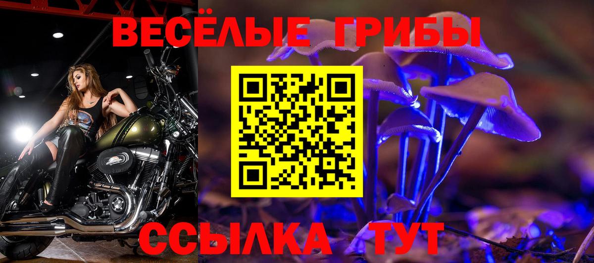 Галлюциногенные грибы GOLDEN TEACHER Ростов Великий
